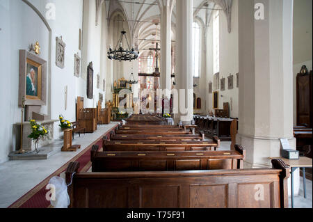 Cathédrale de Wislica en Pologne Banque D'Images