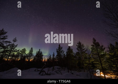 Affichage de northern lights sur la forêt dans les collines d'Inari, Finlande. Un homme est en train de construire un feu de camp à l'avant-plan. Banque D'Images