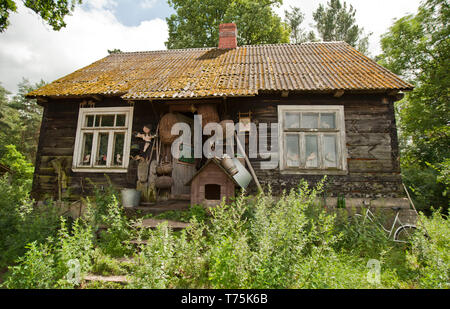 Cabane de roi de Biebrza (Parc national de Biebrza, Pologne) Banque D'Images