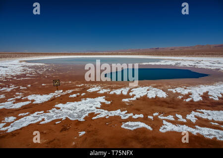 Baltinache lagons cachés dans des lacs de sel du désert d'Atacama Banque D'Images