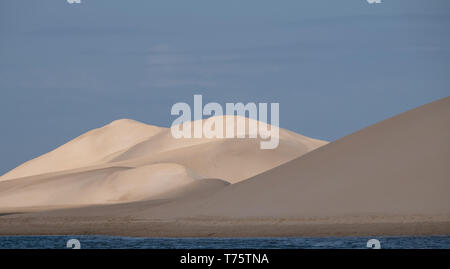 Les champs de dunes côtières Alexandrie avec la mer au loin, près de l'Addo / Colchester sur la Sunshine Coast en Afrique du Sud. Banque D'Images