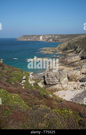 Landes côtières sur le Cap Fréhel pointe Bretagne France Banque D'Images