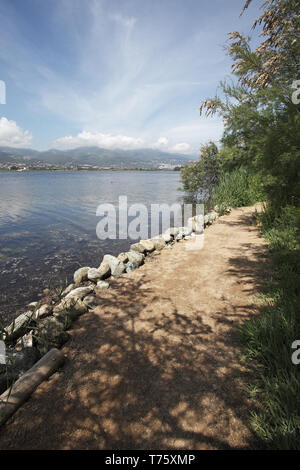 Sentier au bord de la Reserve naturelle de l'Etang de Biguglia Corse France Banque D'Images