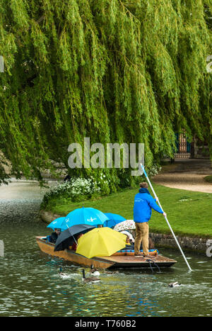 Barques sous la pluie avec les touristes s'abritant sous le parapluie de la rivière Cam, Cambridge, Cambridgeshire, Angleterre, Royaume-Uni. Banque D'Images