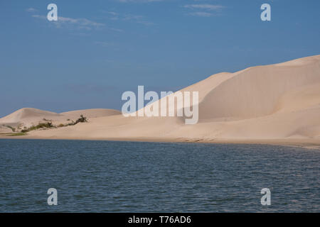 Les champs de dunes côtières Alexandrie avec la mer au loin, près de l'Addo / Colchester sur la Sunshine Coast en Afrique du Sud. Banque D'Images