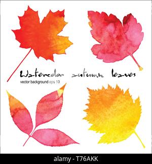 Hand drawn vector set de feuilles d'automne Illustration de Vecteur