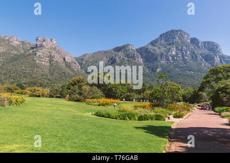 Jardin botanique de Kirstenbosch et pelouse vue montagnes à Cape Town, Afrique du Sud Banque D'Images