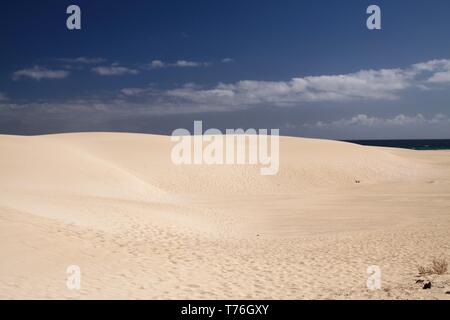 Blanc brillant lumineux de bord contrasté des dunes de sable contre ciel bleu profond, Corralejo, Fuerteventura, Îles Canaries Banque D'Images