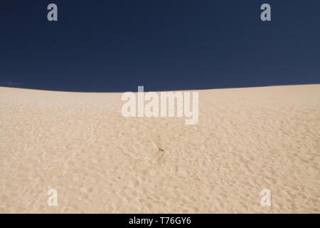 Blanc brillant lumineux de bord contrasté des dunes de sable contre ciel bleu profond, Corralejo, Fuerteventura, Îles Canaries Banque D'Images