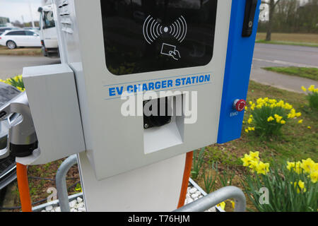 VIERSEN, ALLEMAGNE - le 27 mars. 2019 : station de charge pour voitures électriques entouré de tulipes jaune Banque D'Images