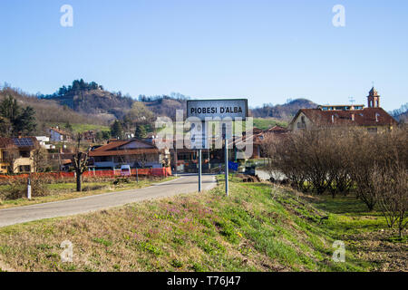 Cuneo / Italie 03-11-2019 : peuplier arbres sans feuilles en italie Banque D'Images