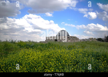 Palais omeyyade. Amman, Jordanie Banque D'Images