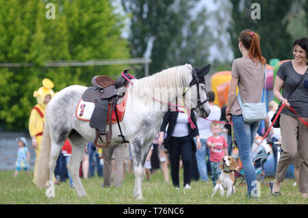 Les gens, debout près de la Pony et le chien. 7-th Air show. June 21,2018. Kiev, Ukraine Banque D'Images