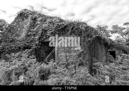 Vue en noir et blanc d'une vieille maison à Ginetes envahie sur l'île de São Miguel, aux Açores. Banque D'Images