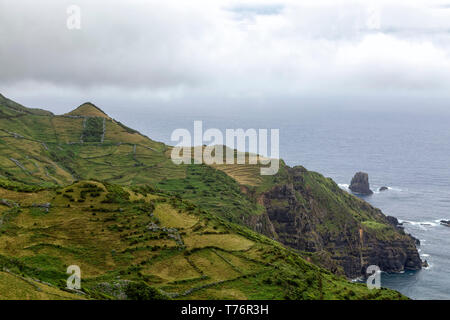 Les parcelles de pâturage sur les falaises spectaculaires près de Mosteiro sur l'île de Flores aux Açores. Banque D'Images