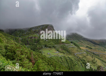 Fleurs en croissance parmi les Rocha dos formation de basalte Bardoes sur l'île de Flores aux Açores. Banque D'Images