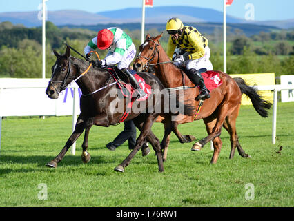 Ard Abhainn et Lisa O'Neill gagner le K Club Hotel & Resort courses de plat pendant cinq jours de la crosse au Festival de Punchestown, comté de Kildare, Irlande. Banque D'Images