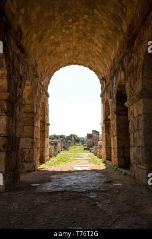 L'hippodrome, Tyr, Liban Banque D'Images