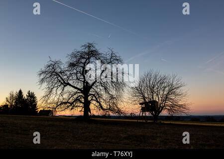 Silhouette d'arbres avec une maison d'arbre contre un ciel du soir après le coucher du soleil avec des trainées. Banque D'Images