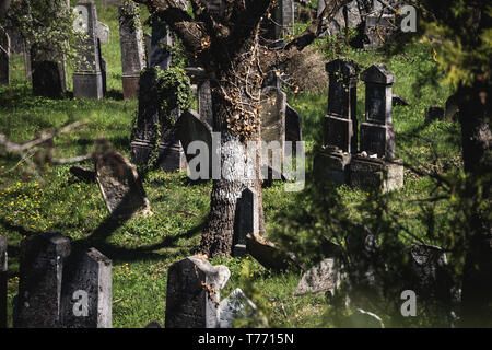 Le cimetière juif de Mikulov est l'un des plus importants cimetières juifs de la République tchèque. C'est l'une des plus anciennes et des plus importantes Jewish Banque D'Images