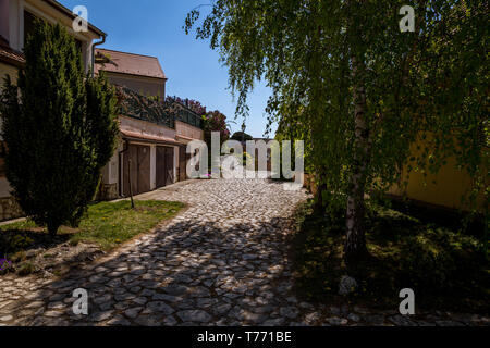 Ville pittoresque de Mikulov au printemps journée ensoleillée avec des arbustes et des arbres en fleurs. Mikulov, s'étend sur les collines de Pálava et entouré par vineyar Banque D'Images