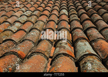 Close-up de tuiles sur toiture recouverte de mousse et de lichens dans une journée ensoleillée au château d'Elvas. Une charmante ville sur la frontière de l'est du Portugal. Banque D'Images