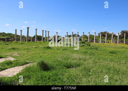 Ruines romains de la ville de Salamis, près de Famagouste, Chypre du Nord Banque D'Images