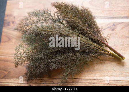 Branches de fenouil bronze, Foeniculum vulgare purpureum, à partir de plantes poussent à l'état sauvage au bord d'un sentier. Il sera utilisé pour parfumer un poisson st Banque D'Images