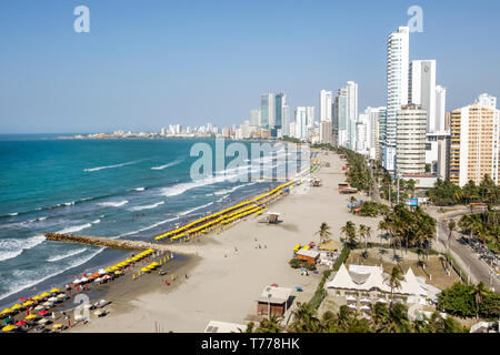 Cartagena Colombie, Bocagrande, Mer des Caraïbes, plage publique sable eau location parasols, ville gratte-ciel bâtiments en bord de mer côte, COL19012411 Banque D'Images