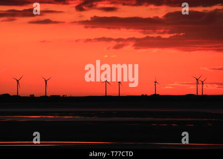 Roanhead, Barrow-In-Furness, Cumbria, Royaume-Uni. 4e mai 2019. Météo britannique. Coucher de Sandscale Haws National Nature Reserve, Roanhead. Vue vers le réseau d'éoliennes sur la côte de Cumbria UK. Crédit photo : Alamy / greenburn Live News. Banque D'Images