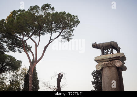 Statue de la légende de Romulus et Remus alimenté par le loup à Rome Italie Banque D'Images