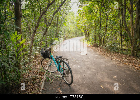 Un parking à vélos sur la route pavée de vide bike lane. Feuillage vert l'été dans la forêt tropicale. L'éco tourisme à Bang Kachao, Thaïlande. Banque D'Images