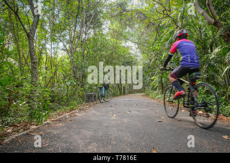 Bike Lane pour les cyclistes à vélo le long des arbres dans la forêt. Feuillage vert luxuriant naturel en été au Sri Nakhon Khuean Khan, Parc, Bang Kachao la Thaïlande. Banque D'Images