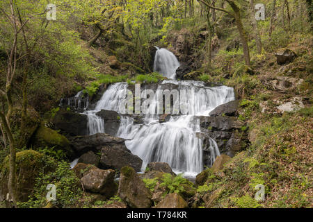 À la Corogne, il y a quatre chutes d'eau de la rivière Mendo, dans un quartier animé de l'environnement forestier. Appartient à la Marine et Terras do Mandeo Coruñesas Biosph Banque D'Images