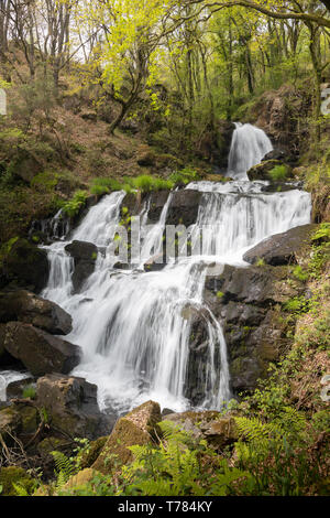 À la Corogne, il y a quatre chutes d'eau de la rivière Mendo, dans un quartier animé de l'environnement forestier. Appartient à la Marine et Terras do Mandeo Coruñesas Biosph Banque D'Images