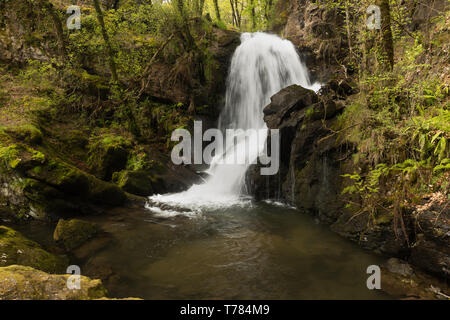 À la Corogne, il y a quatre chutes d'eau de la rivière Mendo, dans un quartier animé de l'environnement forestier. Appartient à la Marine et Terras do Mandeo Coruñesas Biosph Banque D'Images