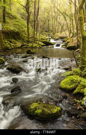 À la Corogne, il y a quatre chutes d'eau de la rivière Mendo, dans un quartier animé de l'environnement forestier. Appartient à la Marine et Terras do Mandeo Coruñesas Biosph Banque D'Images