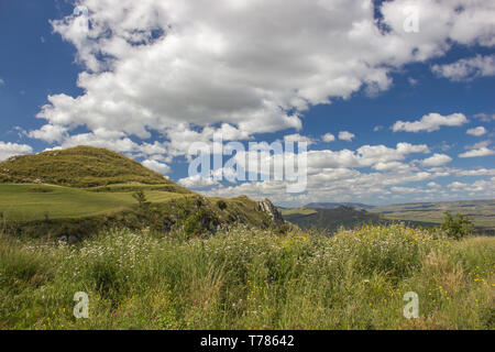 View of scenic vert nature et campagne, colline, l'herbe, des fleurs sous le soleil de printemps Banque D'Images