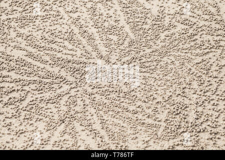 Motifs abstraits avec de petites boules de sable faites par les crabes ou de sable sable bubbler-bubblers Banque D'Images