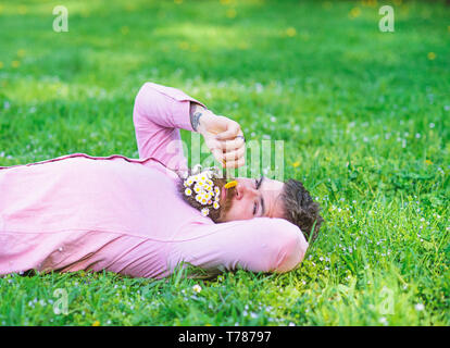Homme avec barbe visage calme renifle le pissenlit. Guy de bouquet de marguerites dans la région de beard relaxant. Homme barbu avec fleurs daisy dans grassplot barbe se coucha sur l'herbe, l'arrière-plan. La paix et la tranquillité. Banque D'Images
