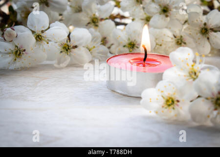 Bougie rouge avec des branches de cerisier blanc. Close-up. Banque D'Images