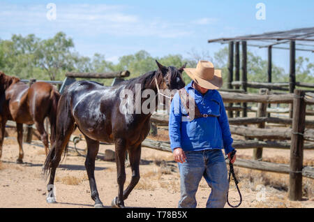 Un cavalier charge son cheval pour le retour à la maison Banque D'Images
