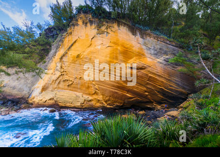 Le Cap Jaune à Saint Joseph, de l'île de la réunion Banque D'Images