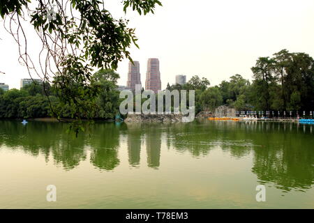 Bosque de Chapultepec. Parc de Chapultepec, Mexico city. Banque D'Images