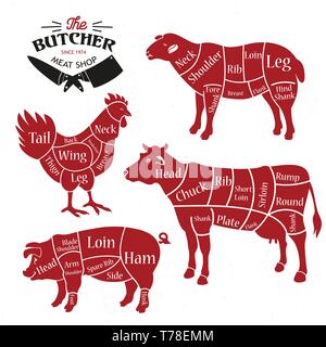 Les coupes de viande. Diagrammes pour boucherie. Vector illustration Illustration de Vecteur