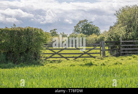 Entrée fermée au champ. Métaphore pour l'agriculture et l'agriculture britanniques, mais aussi accès limité, accès refusé, sécurité des données, porte fermée. Banque D'Images