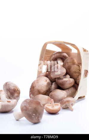 Isoler les champignons dans un panier. Panier en bois avec des champignons. Châssis vertical. Banque D'Images