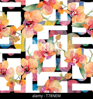 Bouquets de fleurs d'orchidées botaniques. Contexte aquarelle illustration set. Motif de fond transparent. Banque D'Images