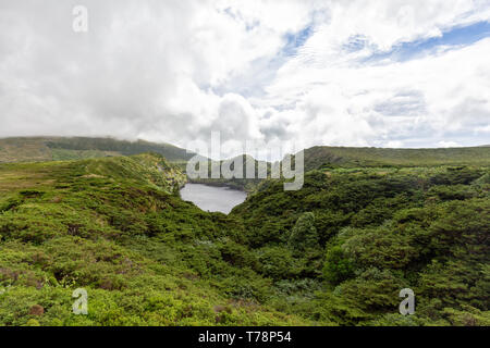 Forêt d'arbustes entourant Lagoa Comprida sur l'île de Flores aux Açores. Banque D'Images