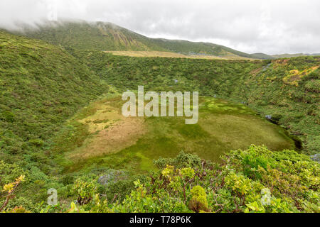 Green verdoyant Lagoa Seca, une caldeira de Flores, le Portugal. Banque D'Images